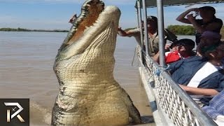 The Most Outstanding Animal Attractions In The World