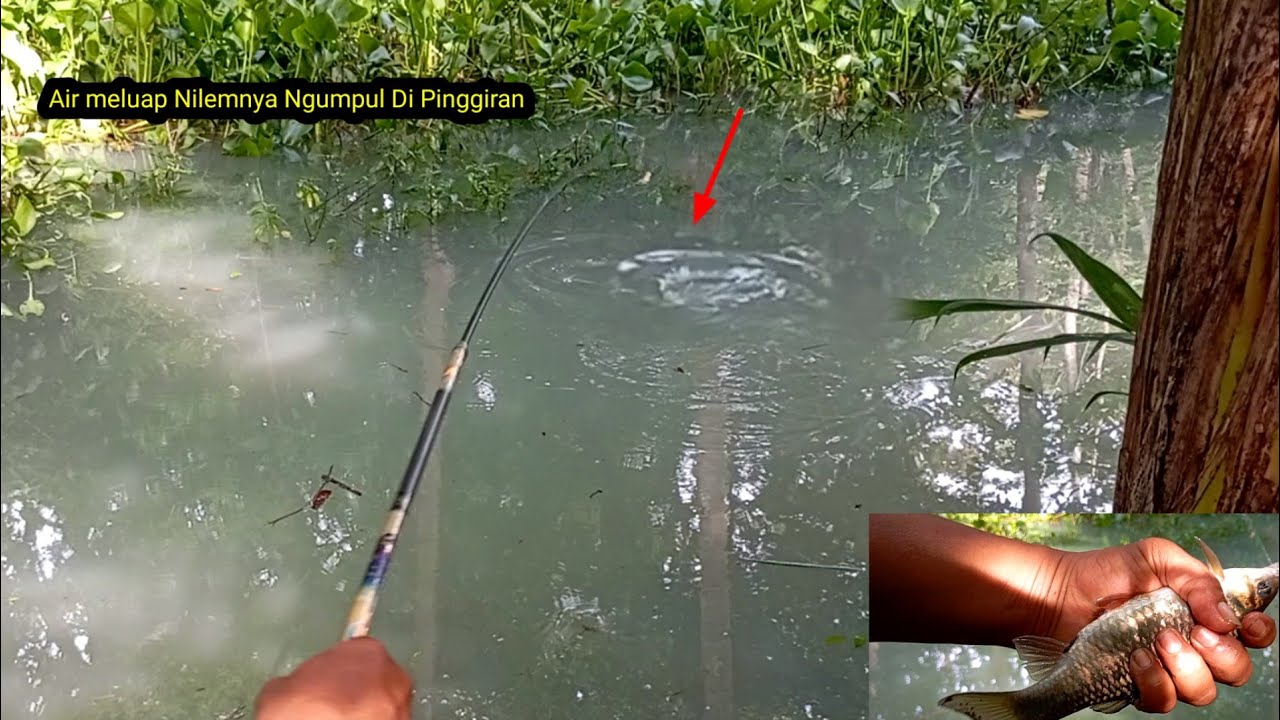 WOOW AIR MELUAP!! SAATNYA MANCING NILEM DI PINGGIRAN WADUK MRICAN