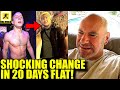 MMA Community react to Paddy Pimblett&#39;s SHOCKING TRASNFORMATION!,Dana White announces new UFC fights