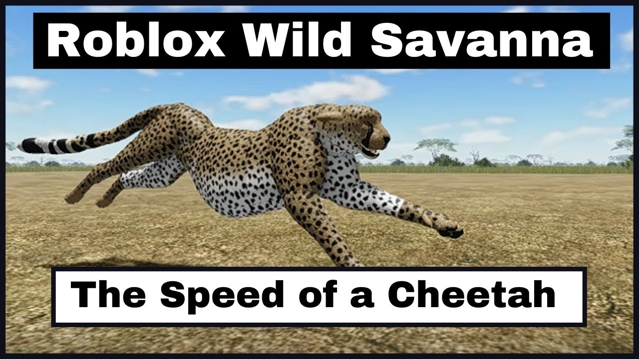 The Speed of a Cheetah - Wild Savanna Documentary - Roblox - YouTube