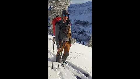 Baker Creek Remotely Triggered Avalanche 1/5/21