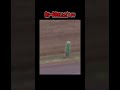 なぜか警察追われる奴ww【おもしろ動画】【面白い】【面白い動画】