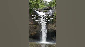 The Power of Persistence 💪🌊