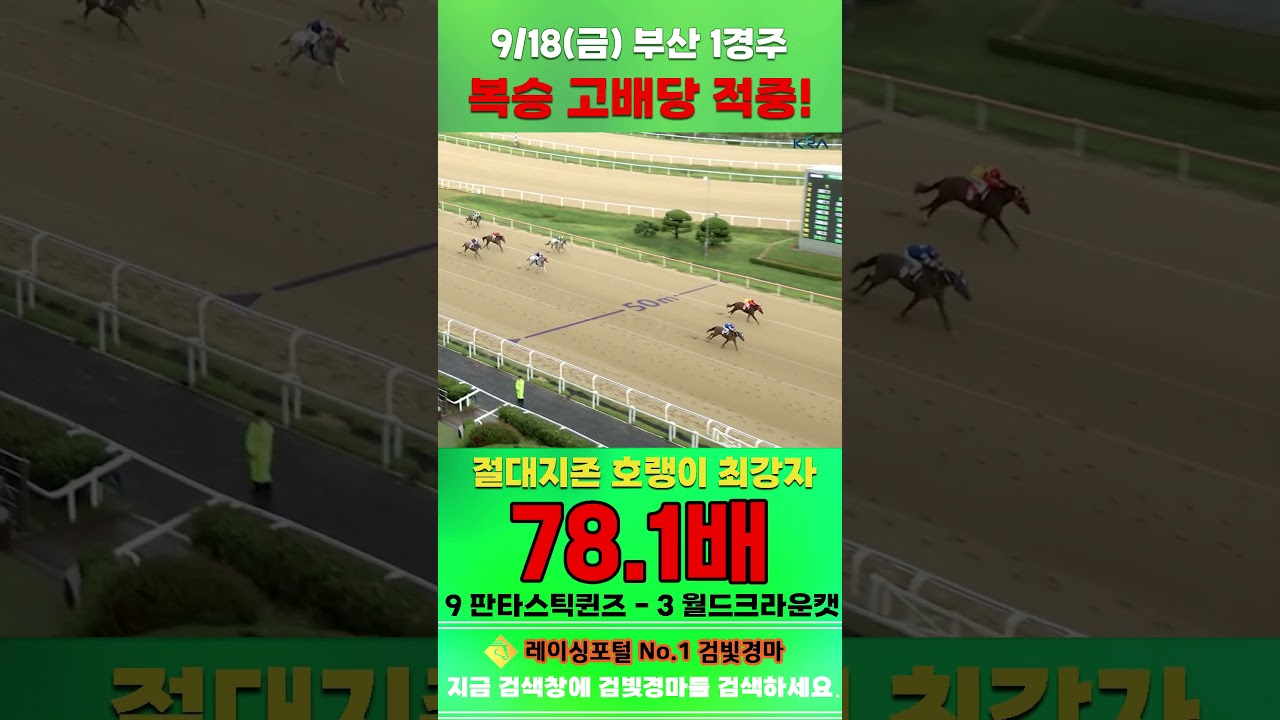 [영남 경마] 9월 18일 금요 1경주 절대지존 호랭이 최강자 전문위원 복승 고배당 적중 #경마 #automobile #한국마사회 #horse #하이라이트 #korean #뉴스