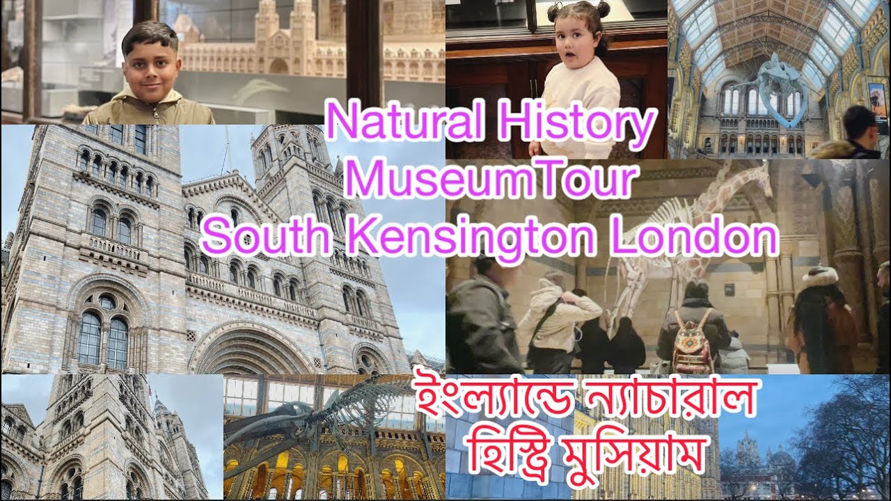 Natural History Museum Tour South Kensington England Mehreen Nur 