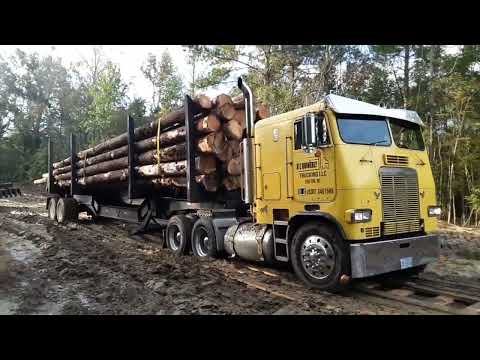 Truck Moving