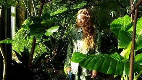 Prêt-à-jeter - Adapt to your environment