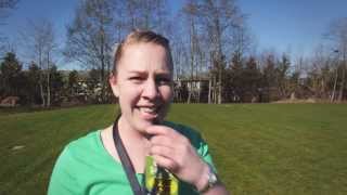 Sonrise Egg Hunt 2013 - Walter E Hall Park