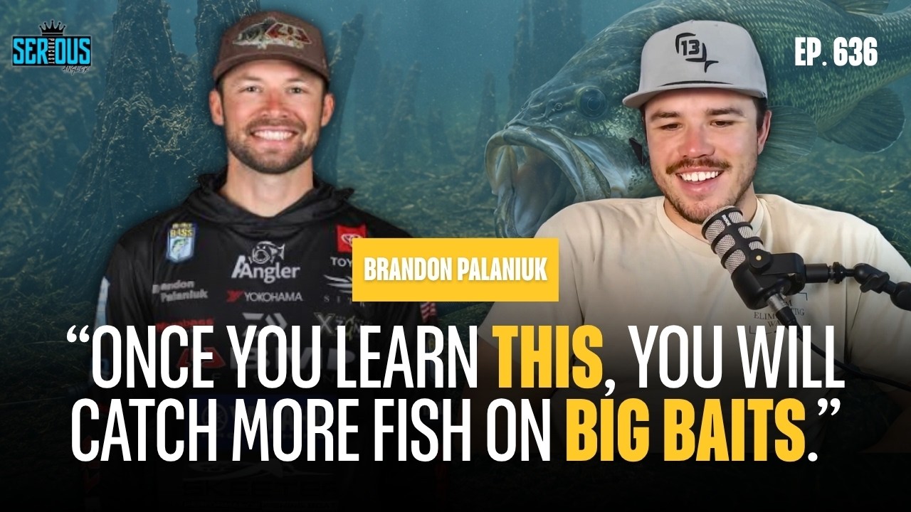 Glide Bait Fishing Explained by the Experts (Catch Bigger Bass)