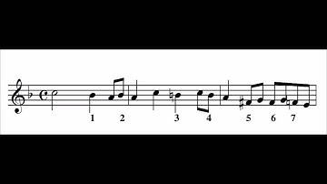 Music Theory - Lesson 10 - Rules for accidentals - Grade 1