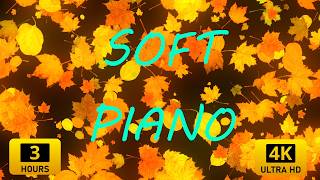 Peaceful Fall Vibes 🍁 4K Dynamic Wallpaper 🎵 Piano & Violin Harmony screenshot 3