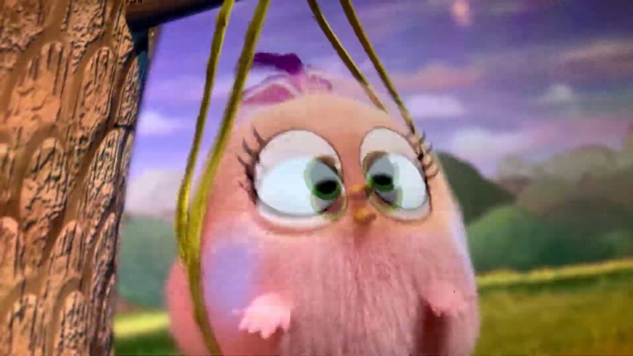 Angry birds blues / Where is Zoe YouTube