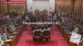 What are the Principles of Accessible Canada Act?