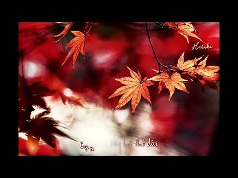 Video [Vietsub] Hoa mắt | Memai （眩暈）- Kagrra, - youtube