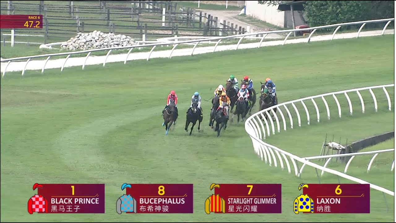  Foto zu 21 JAN 2024 RACE 6 - YouTube 