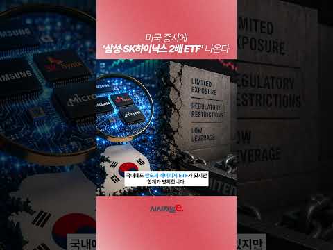 미국 증시에 '삼성·SK하이닉스 2배 ETF' 나온다