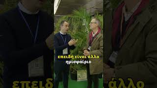 Γιατί τα ξένα λεμόνια είναι φθηνότερα από τα ελληνικά; #ελλαδα #αγροτεσ