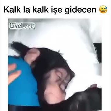 www.youtube.com