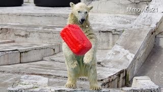ミラクルシュート! ララ経由でプールイン