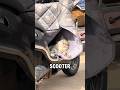 This Cat Sleeps More Comfortably Than We Do #cat #shorts