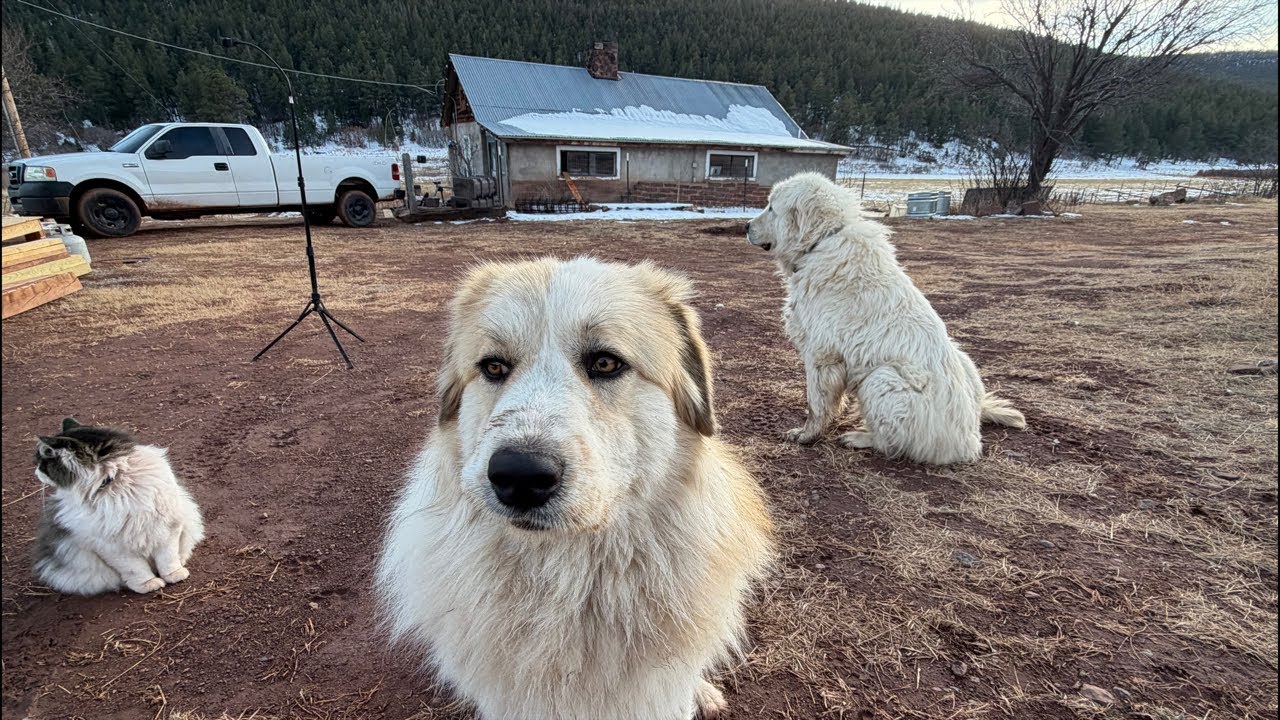 Big News at Lucky Acres!!!