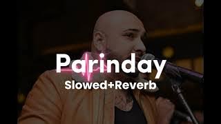 Nagine lishkde dekhe Main kisse ishq de dekhe B Praak Jani (Slowed Reverb)