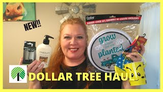 NEW DOLLAR TREE HAUL | NEW ITEMS!