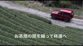 ジムニーで行く林道ツアー@静岡市北部林道群　JIMNY REPORT Vol.2