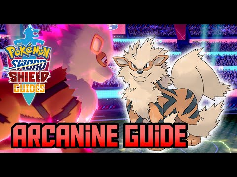 How to Use Arcanine in Pokemon Sword & Shield | Competitive Moveset Build