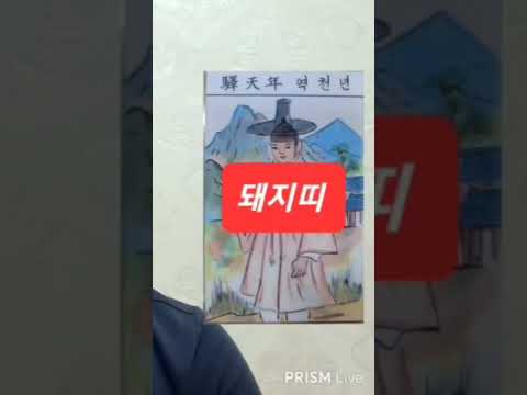 돼지띠 오늘의운세 <strong>2024년9월10일</strong> 화요일 운세 총운 #운세 #오늘의운세