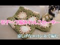【かぎ針犬用セーター】可愛いモチーフ編みをつなげて小型犬のサマーセーターを編みました