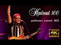 Haircut 100  pelican west 40th anniversary celebration live in 4k