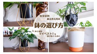 【観葉植物と植木鉢＊何を合わせる？】くるちゃんが大切にしている鉢を選ぶときのポイント