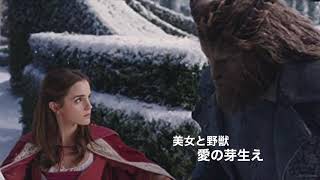 美女と野獣-愛の芽生え[音楽]