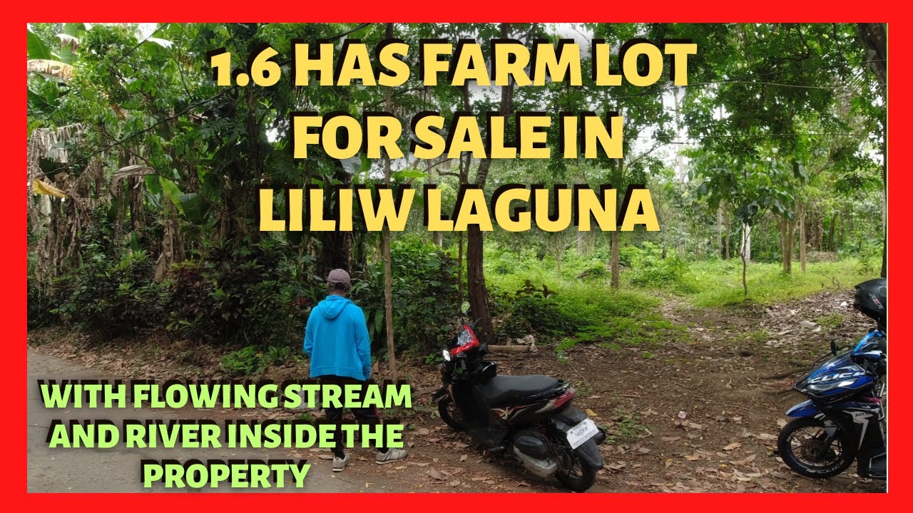 1-6-has-coconut-and-lanzones-farm-in-liliw-laguna-for-sale-lot-code
