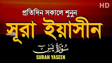 প্রতিদিন সকালে শুনুন - সূরা ইয়াসীন |( سورة يس) Surah Yasin | সকালের সেরা আমল | By ALAA AQEL  