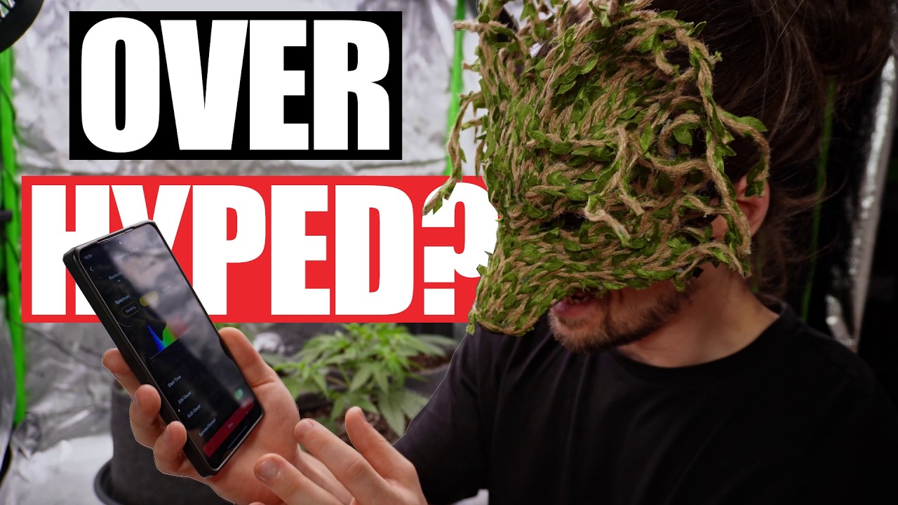 Alle reden über VPD - aber brauchst du es wirklich?