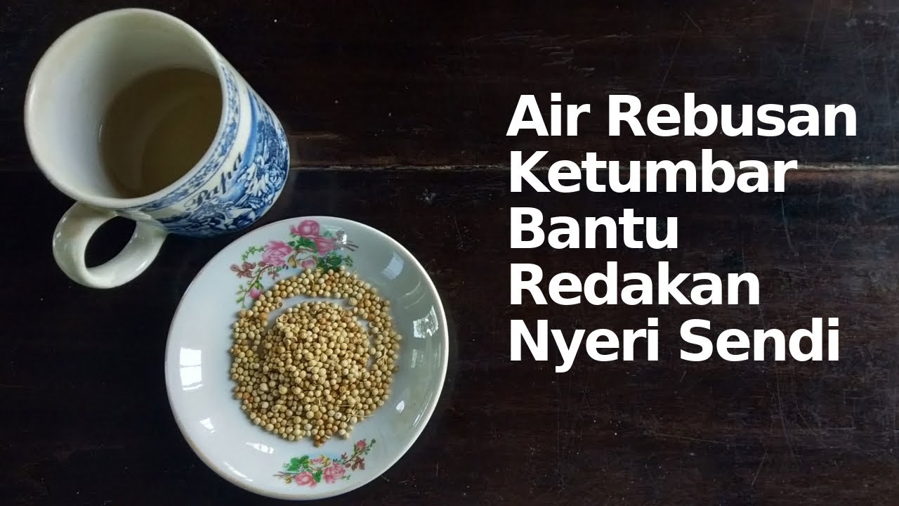 AIR REBUSAN KETUMBAR BANTU REDAKAN NYERI SENDI 
