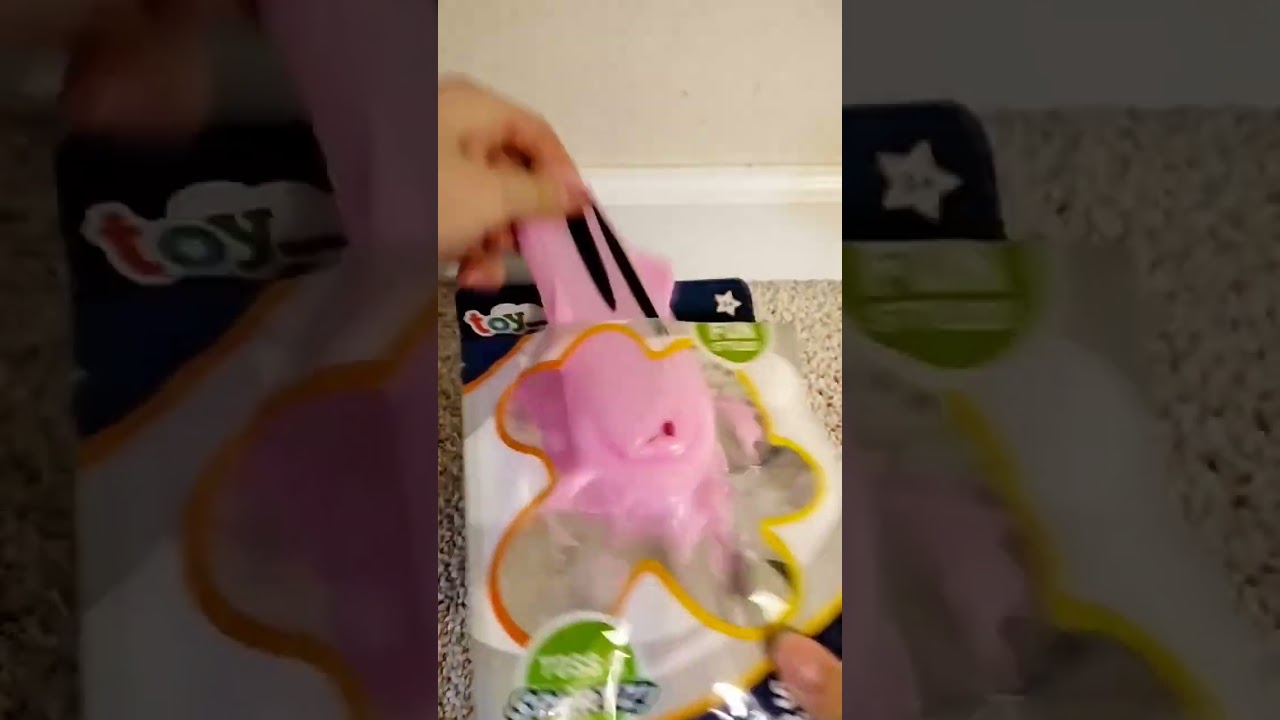 reviewing a splat ball pig