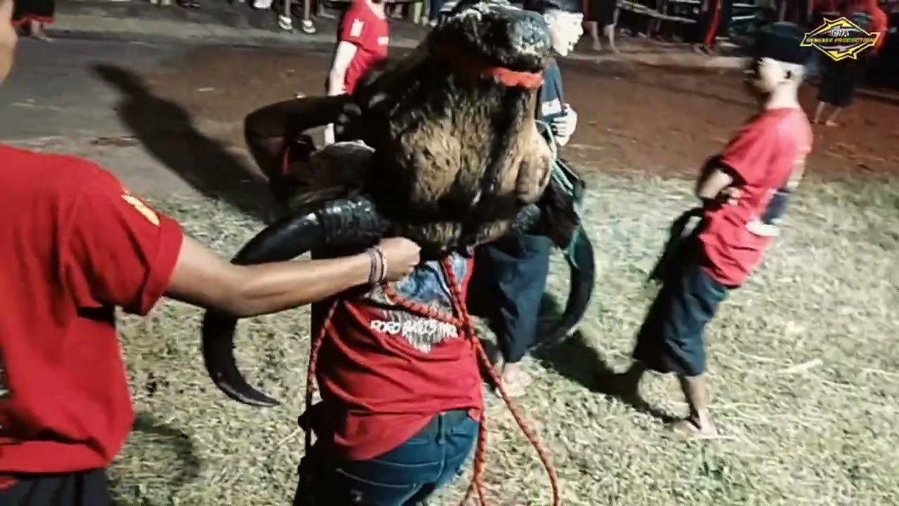 Putro Suro Maheso live jl Kramat Dengkol PART 2 #putrosuromaheso #fyp2026 #mberot