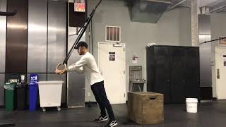 Scaled Single Arm Ring Plank