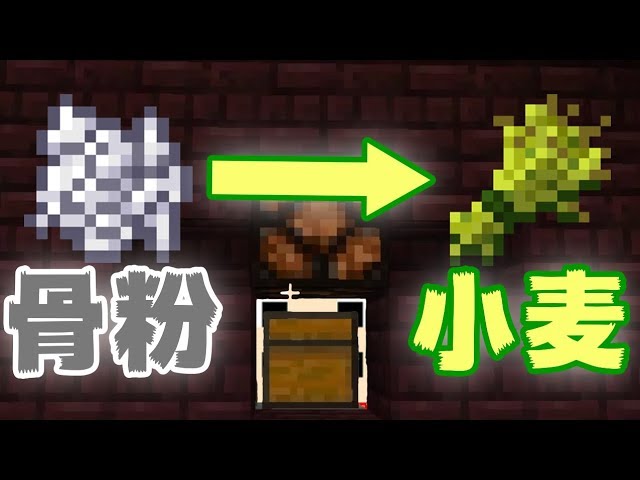 マインクラフト 骨粉入れるだけ ほぼ全自動小麦機構出来た まぐにぃのマイクラ実況 874 Youtube