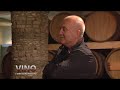 Vino i Vinogradarstvo   Vinarija Budimir