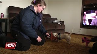 Support dog helps Putnam County first responders cope with stress of job
