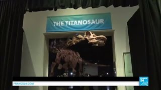 The Titanosaur, the giant dinosaur on display in New York screenshot 2