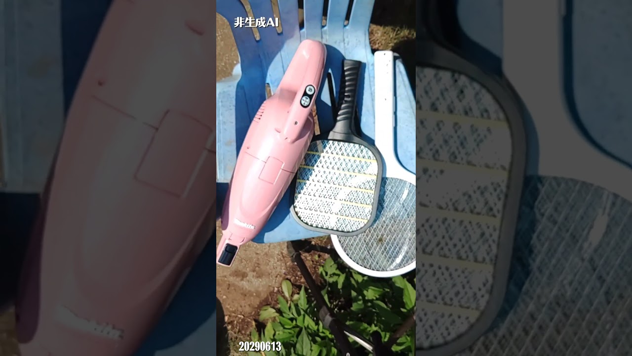 【これもいい】【ハゴロモキャッチャー!】掃除機でハゴロモ退治2026年6月13日 #チュウゴクアミガサハゴロモ