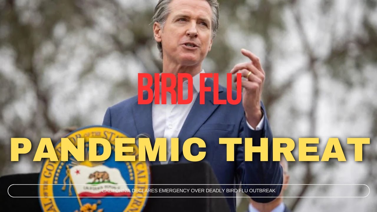 California Gov. Gavin Newsom declares state of emergency over bird flu ...
