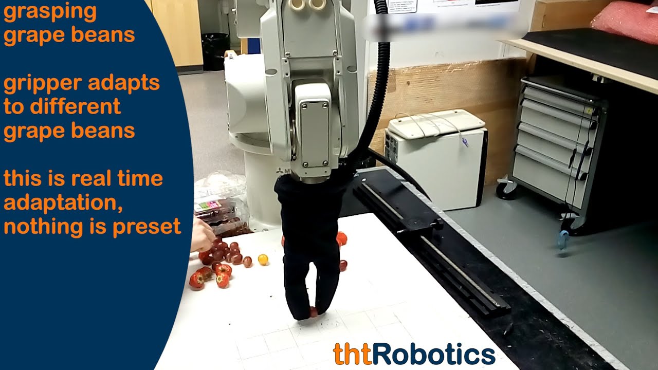 Adaptive Robotic Gripper. Grasping grape beans (different manipulation)