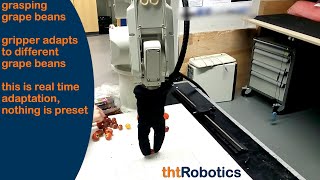 Adaptive Robotic Gripper. Grasping grape beans (different manipulation)