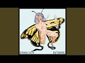 Butterflies Butterflies